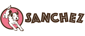 glaces Sanchez, l'artisan glacier